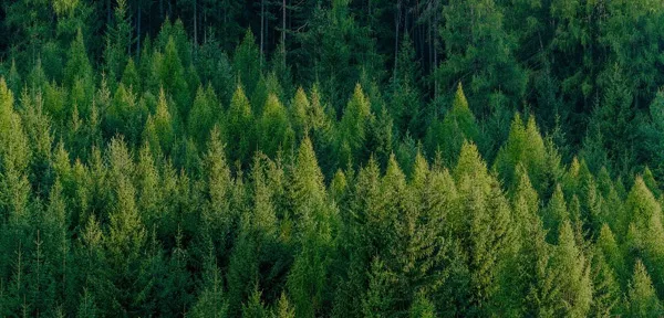 Sustainable development